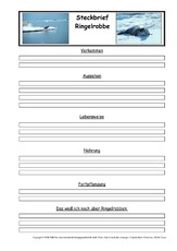 Ringelrobbe-Steckbriefvorlage.pdf